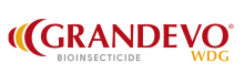 grandevo
